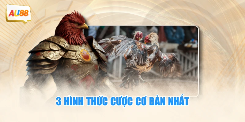 3 hình thức cược cơ bản nhất